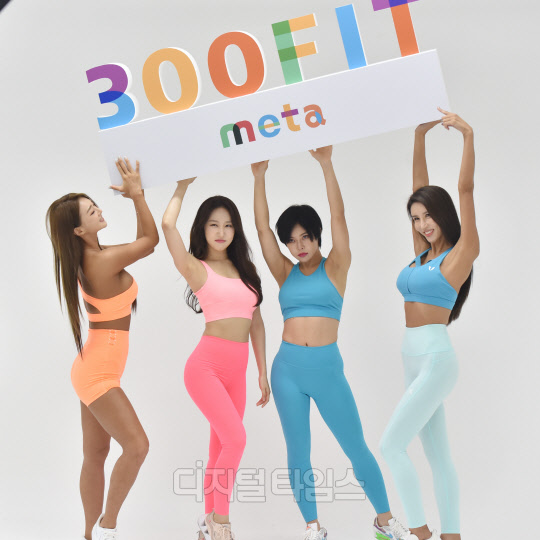 []ӽϾ --ڿ-ѳ `300FIT meta Կ ߾~`